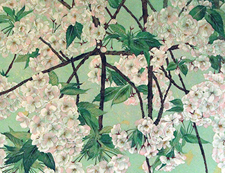 ICHIYO Cherry Blossoms 宝居智子 Gallery