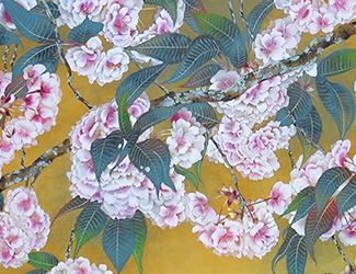 Bonbori Cherry Blossoms 宝居智子 Gallery